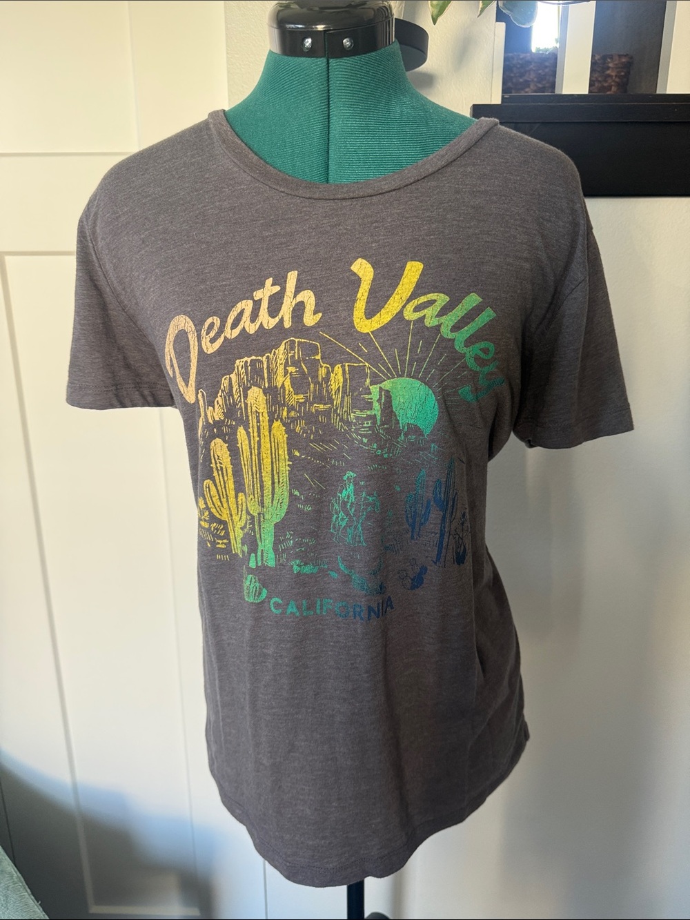 Chaser Death Valley Graphic Tee - Charcoal Gray with Yellow & Green Print